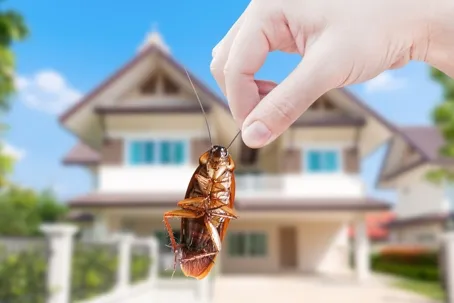 How Pest Control Services in Toronto are Adapting to New Technologies